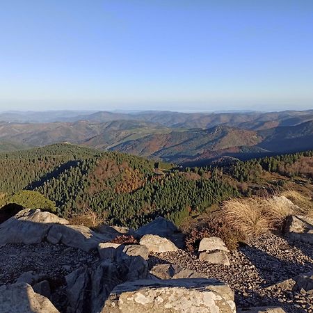 Gite Le Rocher Du Chateau De Retourtour Ламастр Екстериор снимка