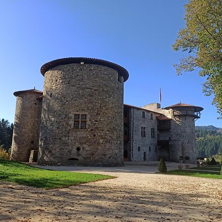 Gite Le Rocher Du Chateau De Retourtour Ламастр Екстериор снимка