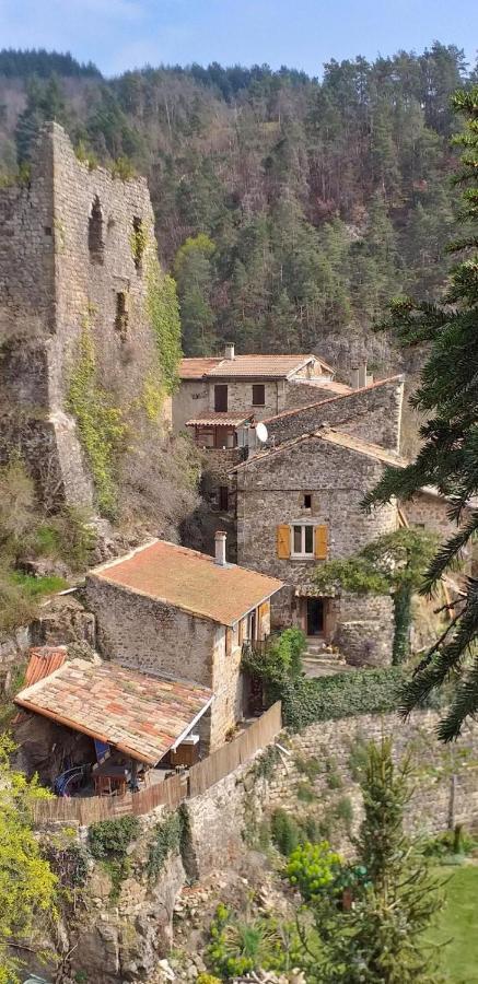 Gite Le Rocher Du Chateau De Retourtour Ламастр Екстериор снимка